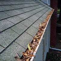 Eavestrough with Leaves